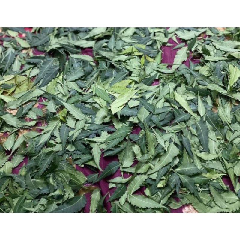 

Daun Neem/Mimba kering organik 300 gram