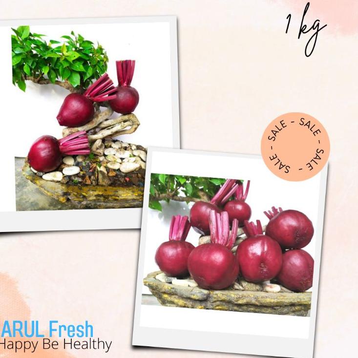 

ORIGINAL% Beet Root atau buah bit fresh1Kg kualitas supermarket