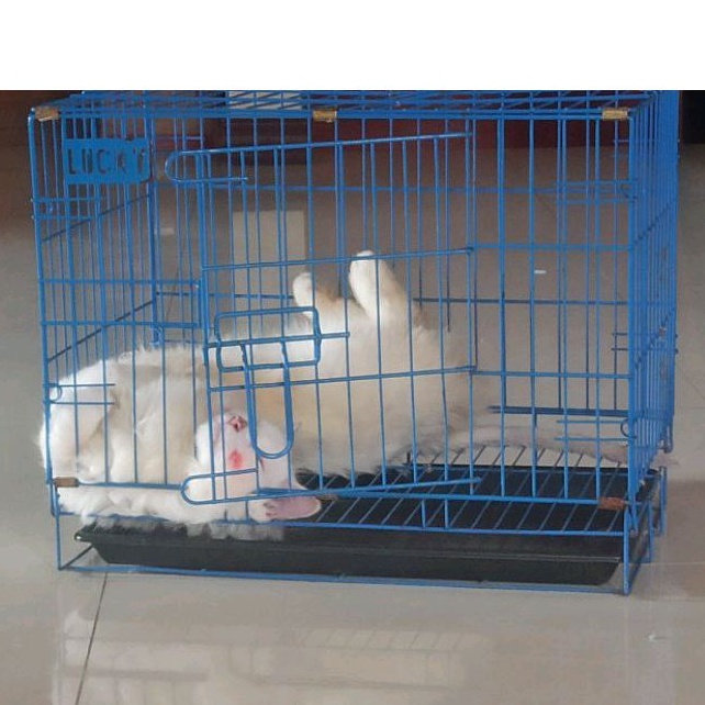 kandang kucing lipat kecil second preloved bekas cocok buat jemur atau mandi