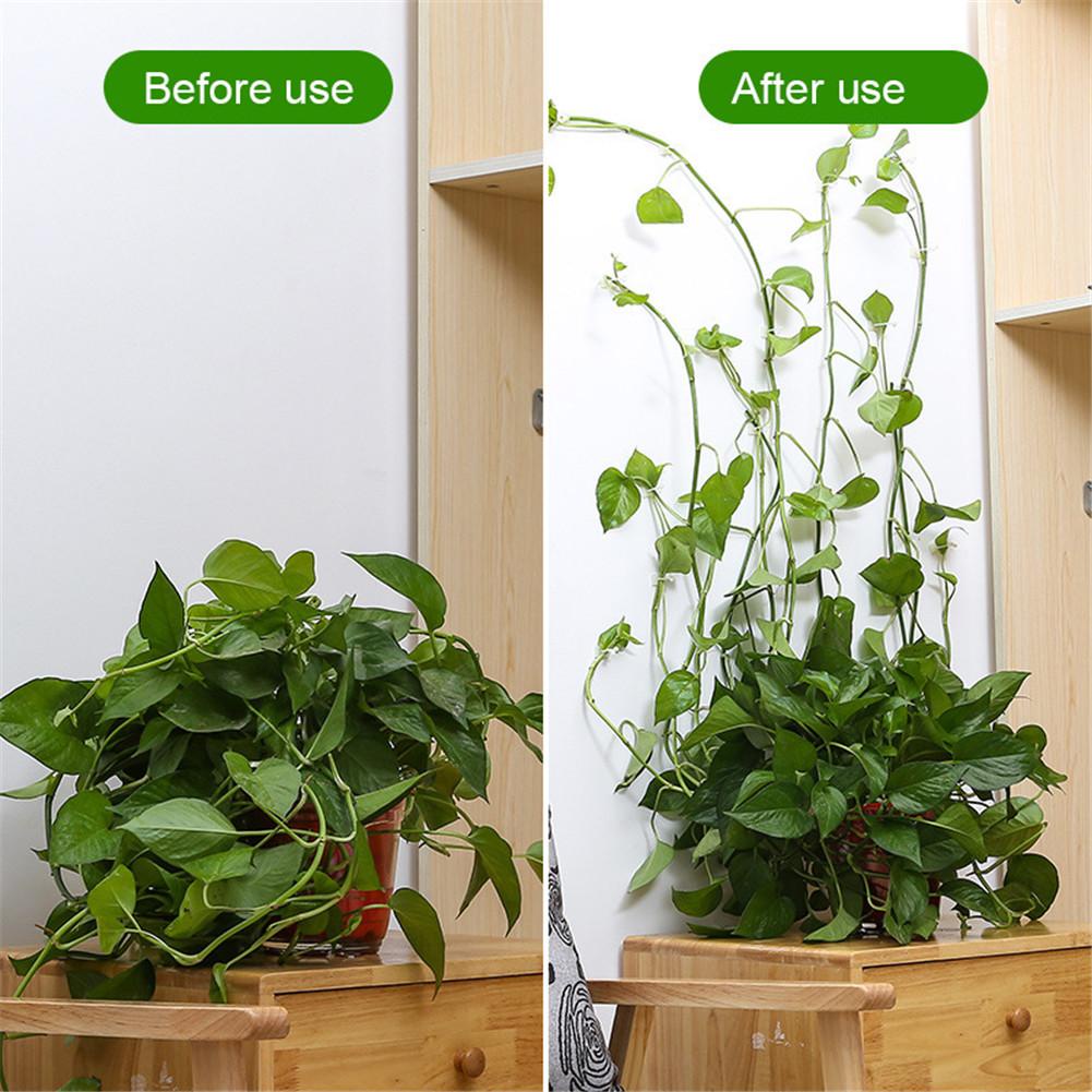 AVVET Klip Kait Tanaman Merambat Isi 10 Pcs Plant Climbing Wall Penjempit Tanaman Klem Kabel Dengan Perekat 3M