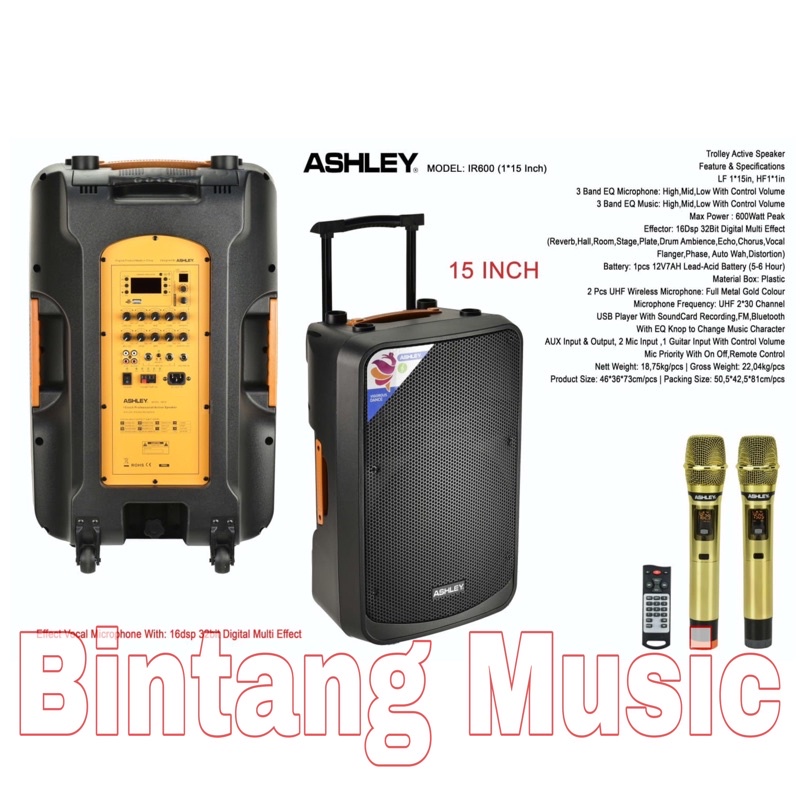 Ashley IR600