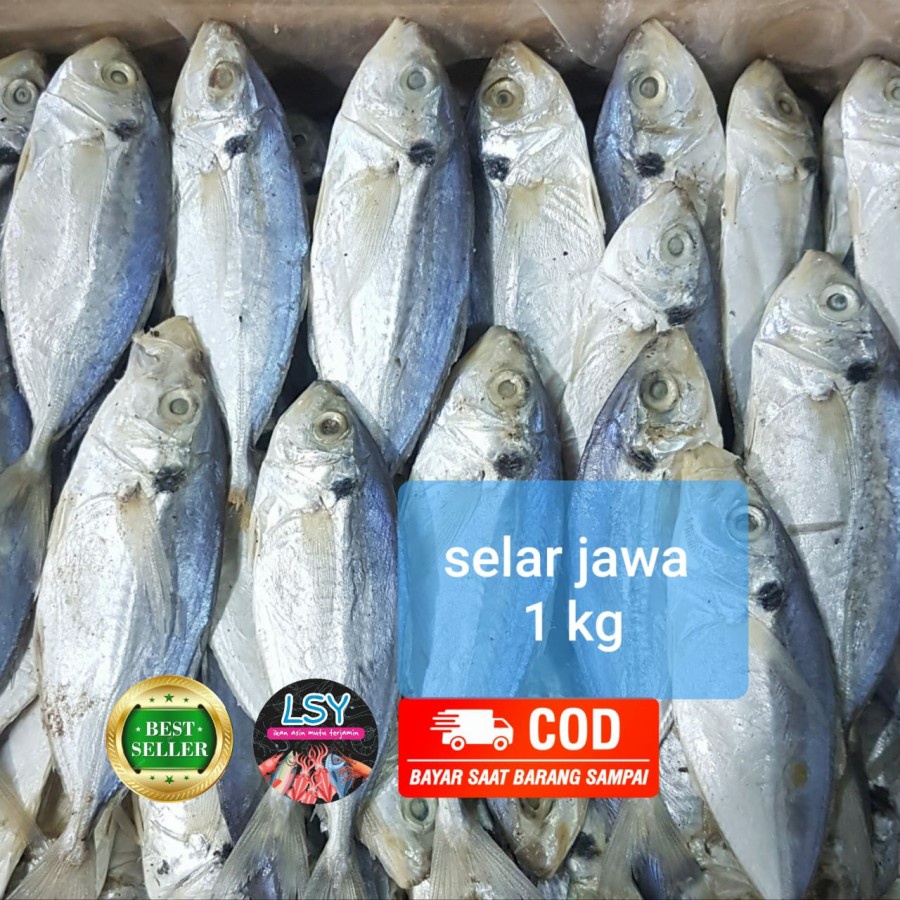 

ikan asin selar size jumbo 1kg