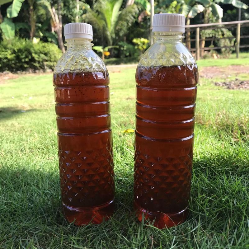 

Madu tawon asli | madu lebah
