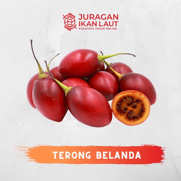 

Buah Terong Belanda Segar Berkualitas - 500 Gram