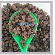 

Kismis Iran repack