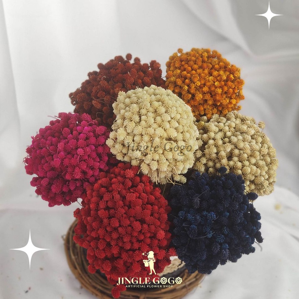 Ecer (1 ikat) Bunga Kering Menilan Dried Flower Preserved Flower untuk Buket Flower Dome Hiasan Maha
