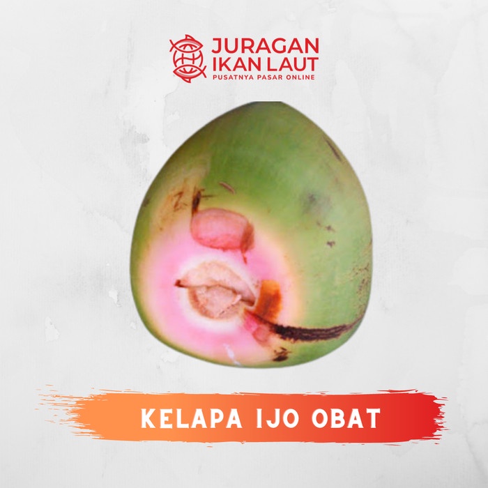 

Buah Kelapa Ijo Obat - 1 Buah