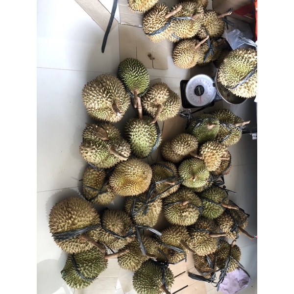 

monthong subang