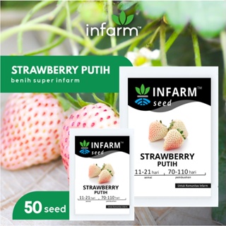 INFARM - Benih Bibit Biji Super Buah Strawberry Putih Besar Manis