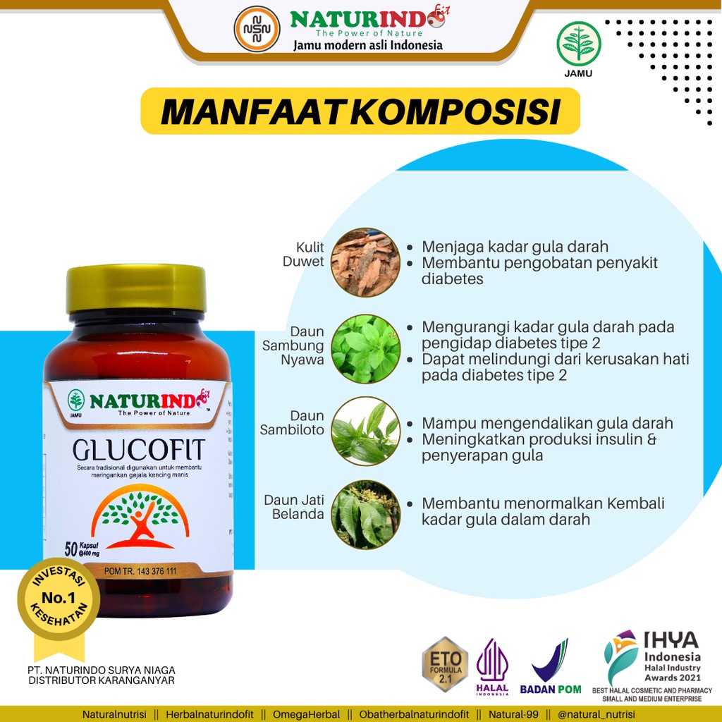 Obat Diabetes Paling Ampuh Herbal Diabetes Obat Gula Darah Tinggi Obat Kencinrg Manis Obat Diabetes Kering Disertai Luka Glucofit Naturindo