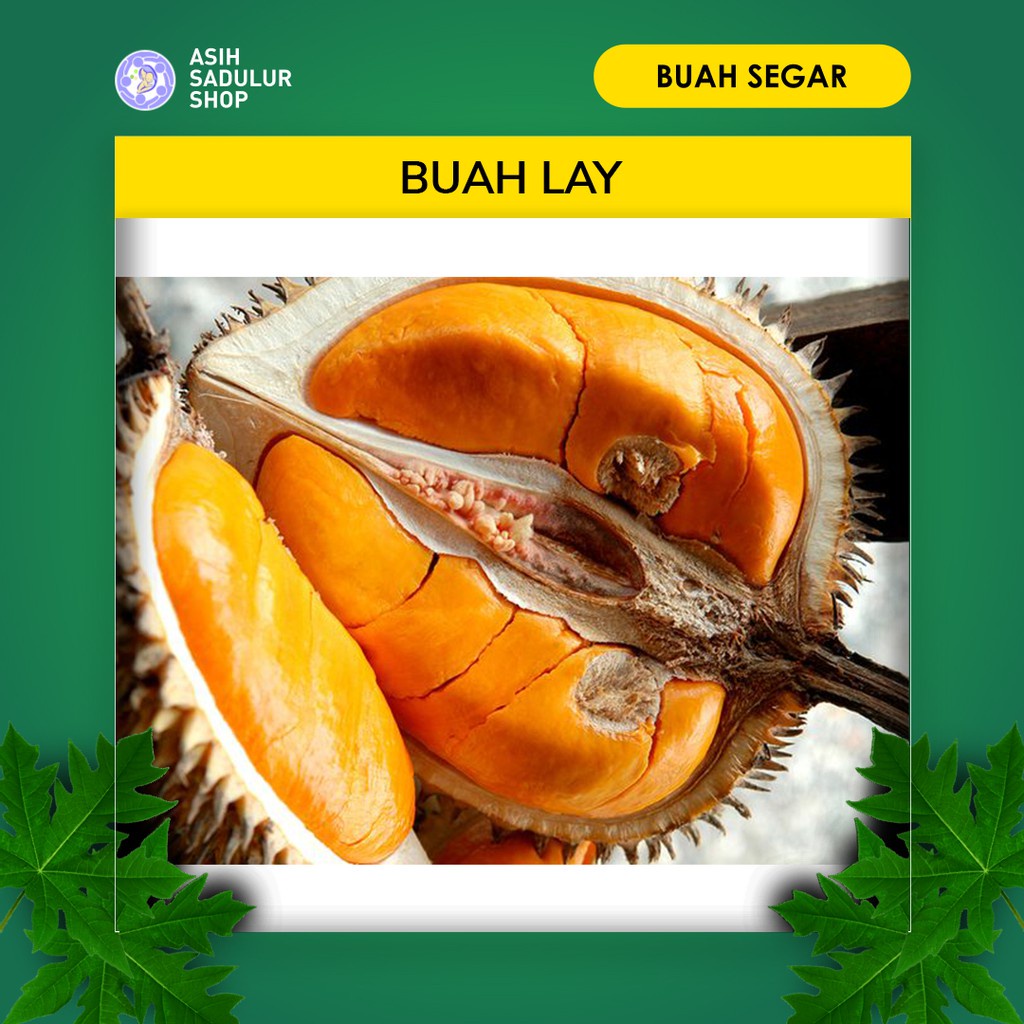 Buah Lai/Lay Durian Kalimantan Populer | Asih Sadulur Mart