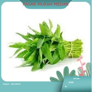 

Sayur Kangkung Segar 1 ikat | PASAR MURAH MEDAN
