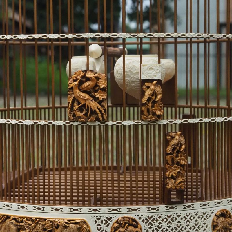 Variasi/Stoper Sangkar Anis/Murai Batu