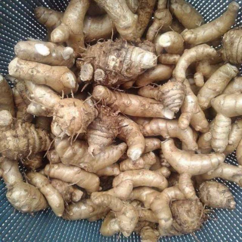 

1Kg Kunyit Putih Segar/ Temu Putih