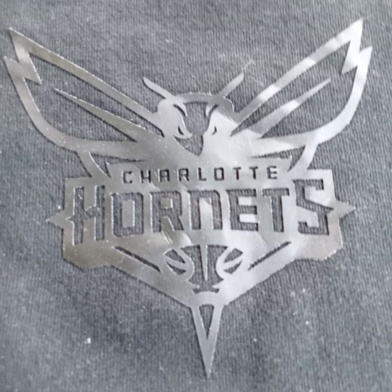 Slevee Charlote Hornets