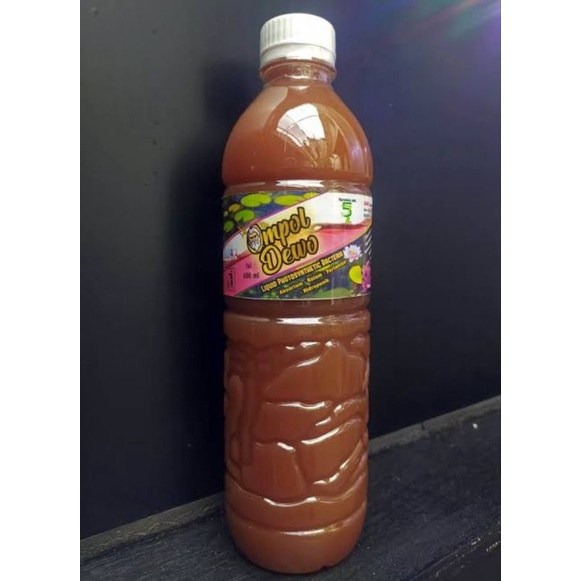 Bakteri Cair untuk Perawatan Aquascape Ompol Dewo Riset 57