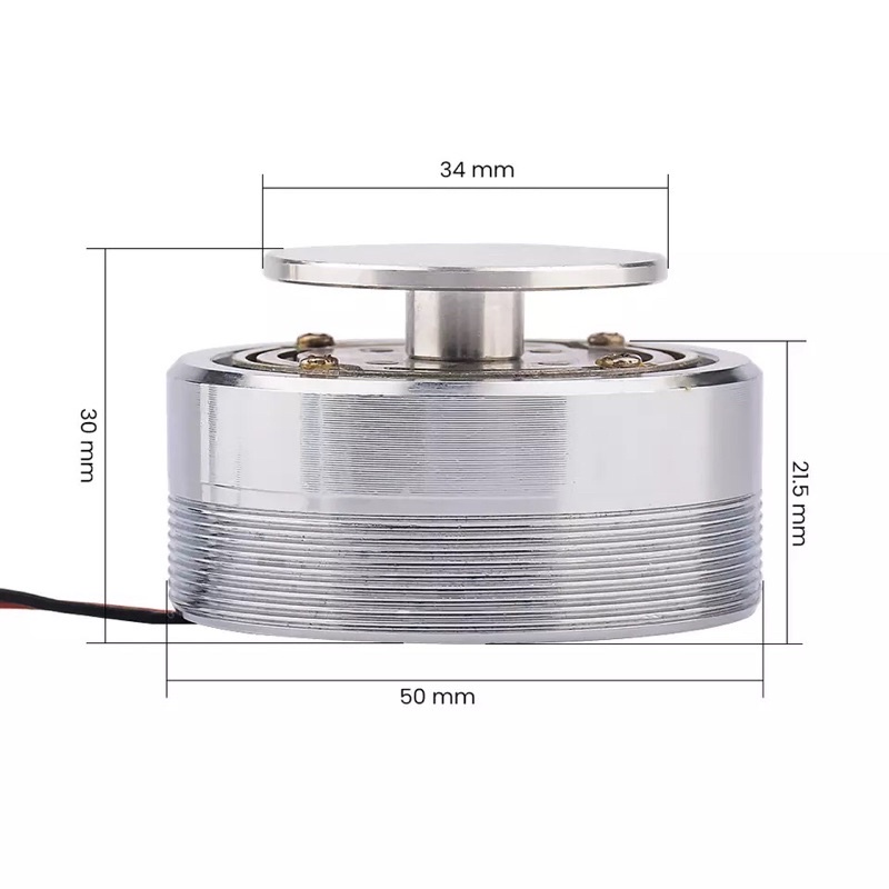 Aiyima Full Range Vibration Speaker Altavoz Portatil Resonance Bass Speaker 25W 55mm