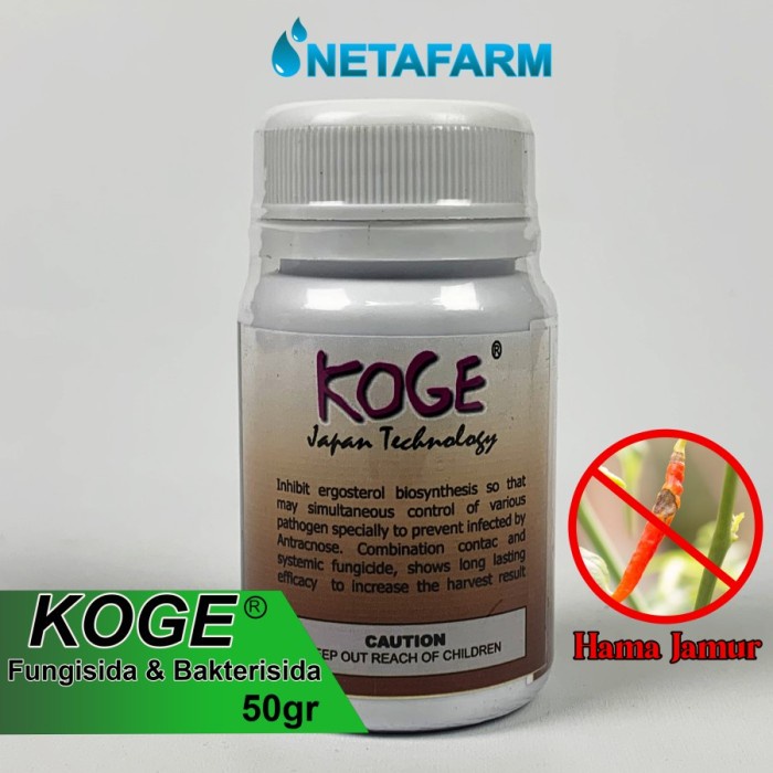 "'''] Fungisida Bakterisida KOGE Obat Anti Busuk Cabe - 50gr