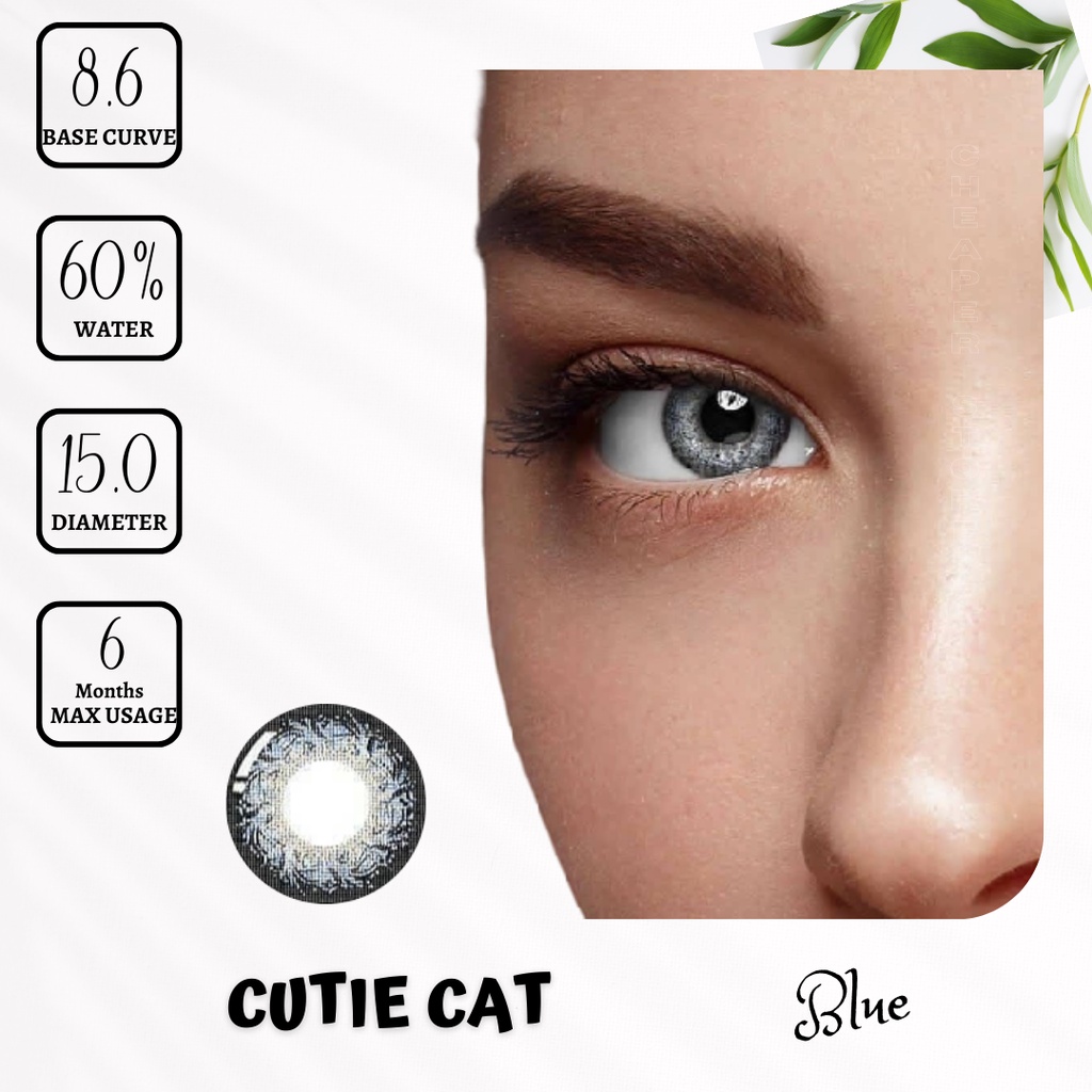 SOFTLENS CUTIE CAT EYES / CUTIE CAT EYES