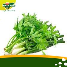 

Daun Bawang dan Seledri Segar | Frozy Farm (termurah)