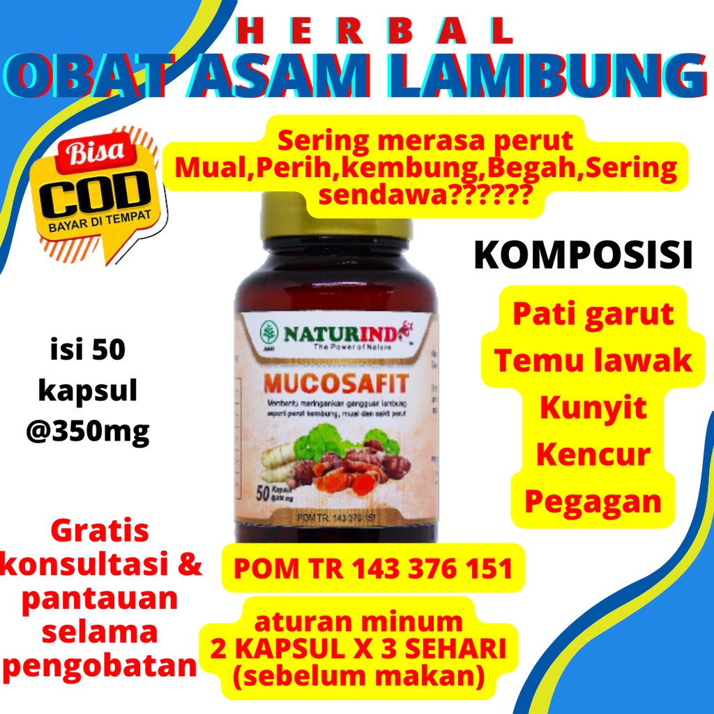 Naturindo Obat Herbal Maag Magh Asam Lambung Kronis Ampuh Mag Kesehatan Lambung Maag Lambung Mucosaf