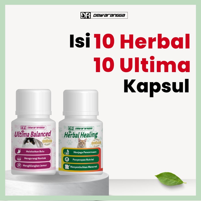 PAKET GONDRONGIN BULU - DEWARANGGA