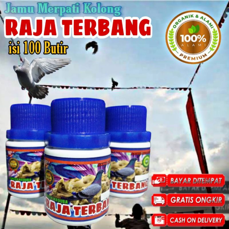 JAMU MERPATI RAJA TERBANG ISI 100 BUTIR pil sarang walet liur walet ginseng teki madu klanceng pil e