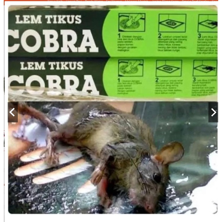 LEM TIKUS COBRA ORIGINAL / LEM PERANGKAP TIKUS SUPER LENGKET