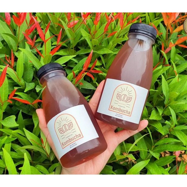 

Kombucha Original El Kitchen Ukuran 1 Liter