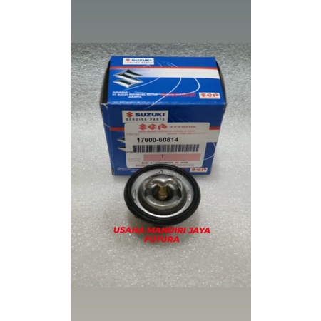 THERMOSTAT FUTURA 17600-60814