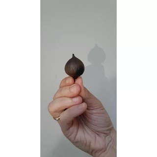 BLACK GARLIC / BAWANG HITAM TUNGGAL LANANG PROMO 1KG FREE NUVO HS