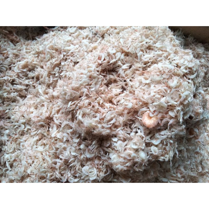 

ikan Rebon Halus Grade A Best seller