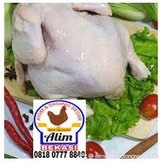 

07. Ayam Karkas (Carcass Chicken) _ 1,1 kg