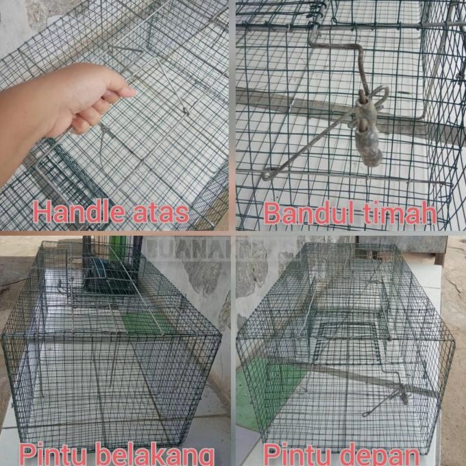 Jebakan Perangkap Musang