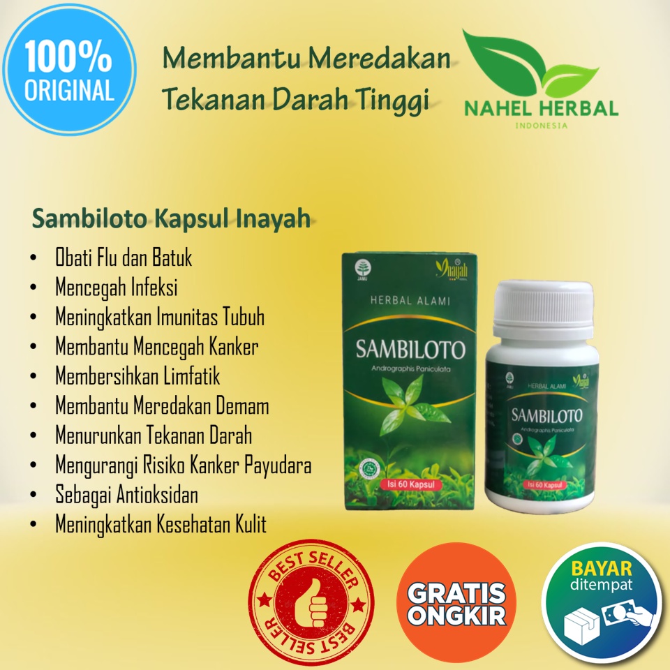 Makanan Obat Herbal Penderita Sakit Lambung Dan Gula Darah Tinggi Dewasa Paling Ampuh - Minuman Kaps