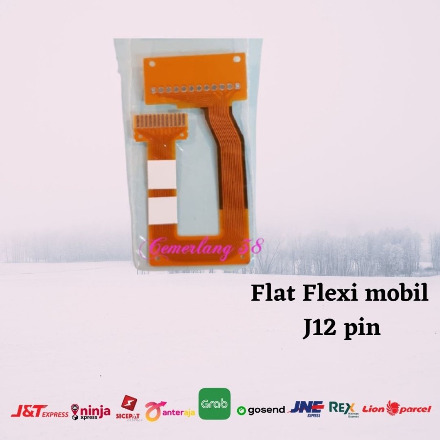 Flat Flexi mobil J12 pin - Flexible Cable Car Audio Pioneer CNP 5355