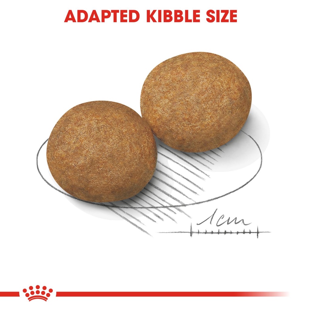 Expedisi Royal Canin Medium Adult Dewasa 10kg/RC Medium Adult 10 Kg