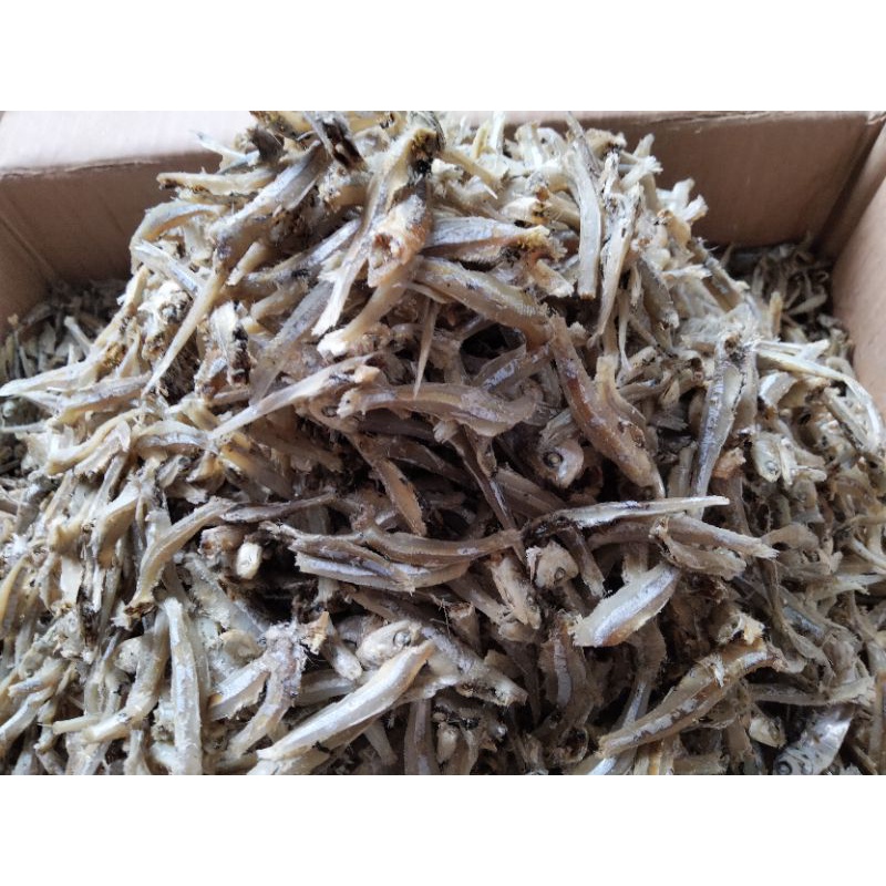 

Ikan Teri Jengki Best Seller Termurah