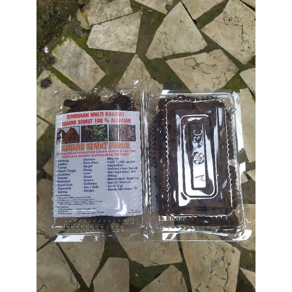 

SARANG SEMUT TUMBUHAN MULTI FUNGSI 100% ALAMIAH