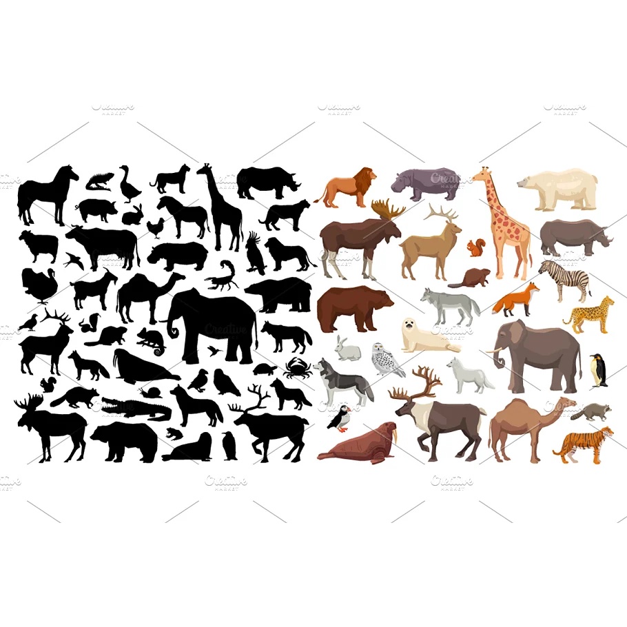 Sale! Wild Animals And Pets Set