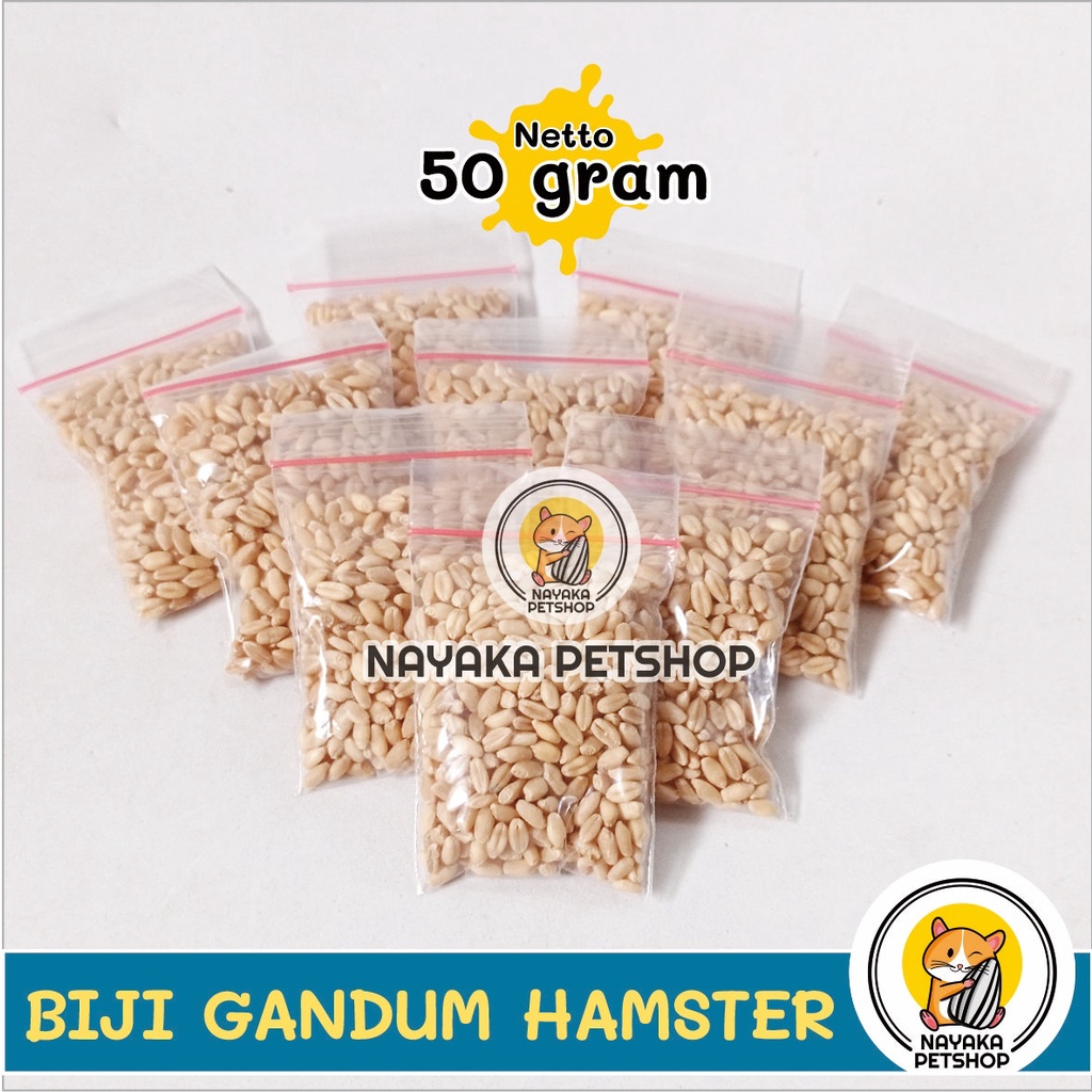 Snack Hamster Biji Gandum 50 gr Wheat Grass Cemilan Ekstra Food Hewan Pakan Camilan Makanan Wheatgrass