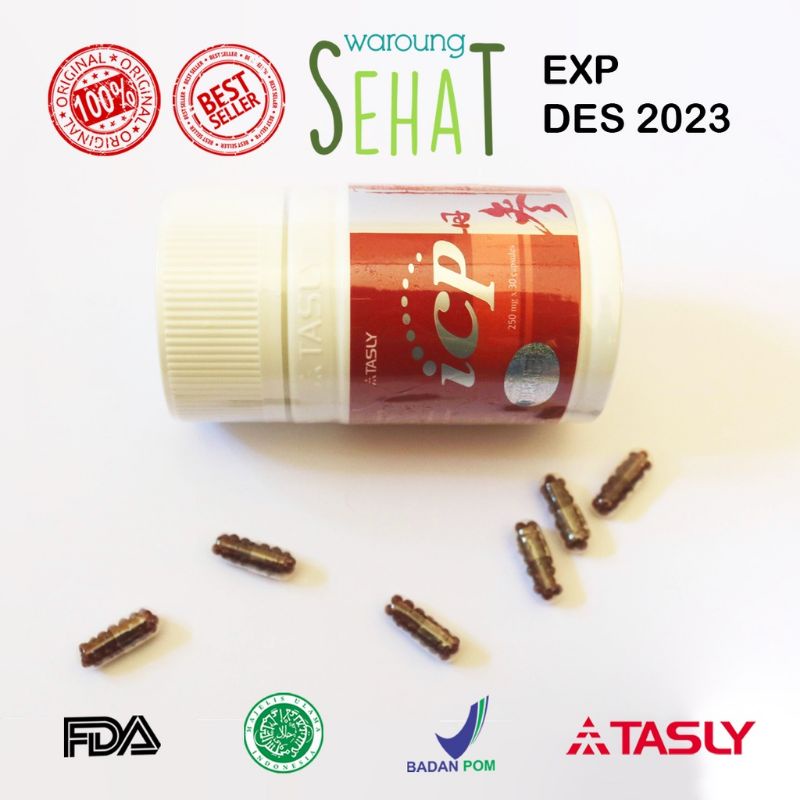 Herbal ICP CAPSULE Tasly obat sakit jantung