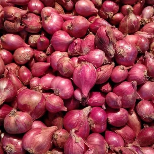 

➜gs Laris PASAR ONLINE - BAWANG MERAH 250gr 40 ❄