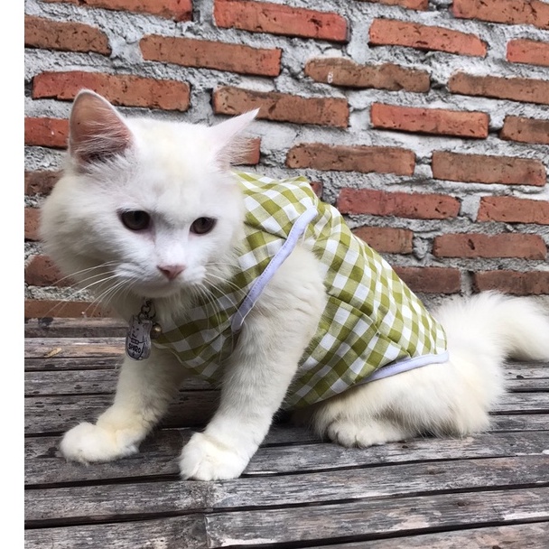 T&amp;Y Baju Hewan Peliharaan Motif Garis Kotak Lucu Untuk Kucing dan Anjing Termurah Size S-XL Kaos Singlet Tanpa Lengan Anabul Kitten Puppy Pakaian Musim Panas Murah Pet Clothes Tank Shirt Stripe Small