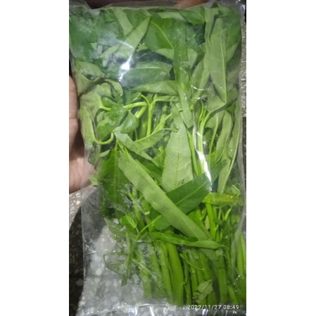 

kangkung