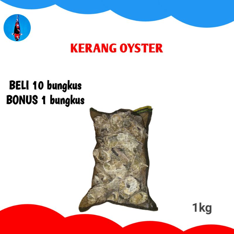 Cangkang kerang oyster media filter kolam ikan koi Oyster Shell penjernih air kolam aquarium