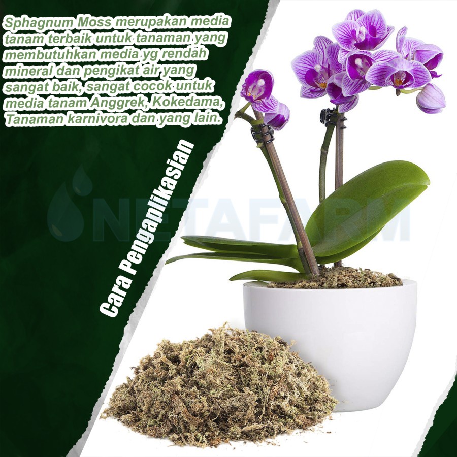 Media Tanam - SPHAGNUM MOSS Kemasan 2 Liter