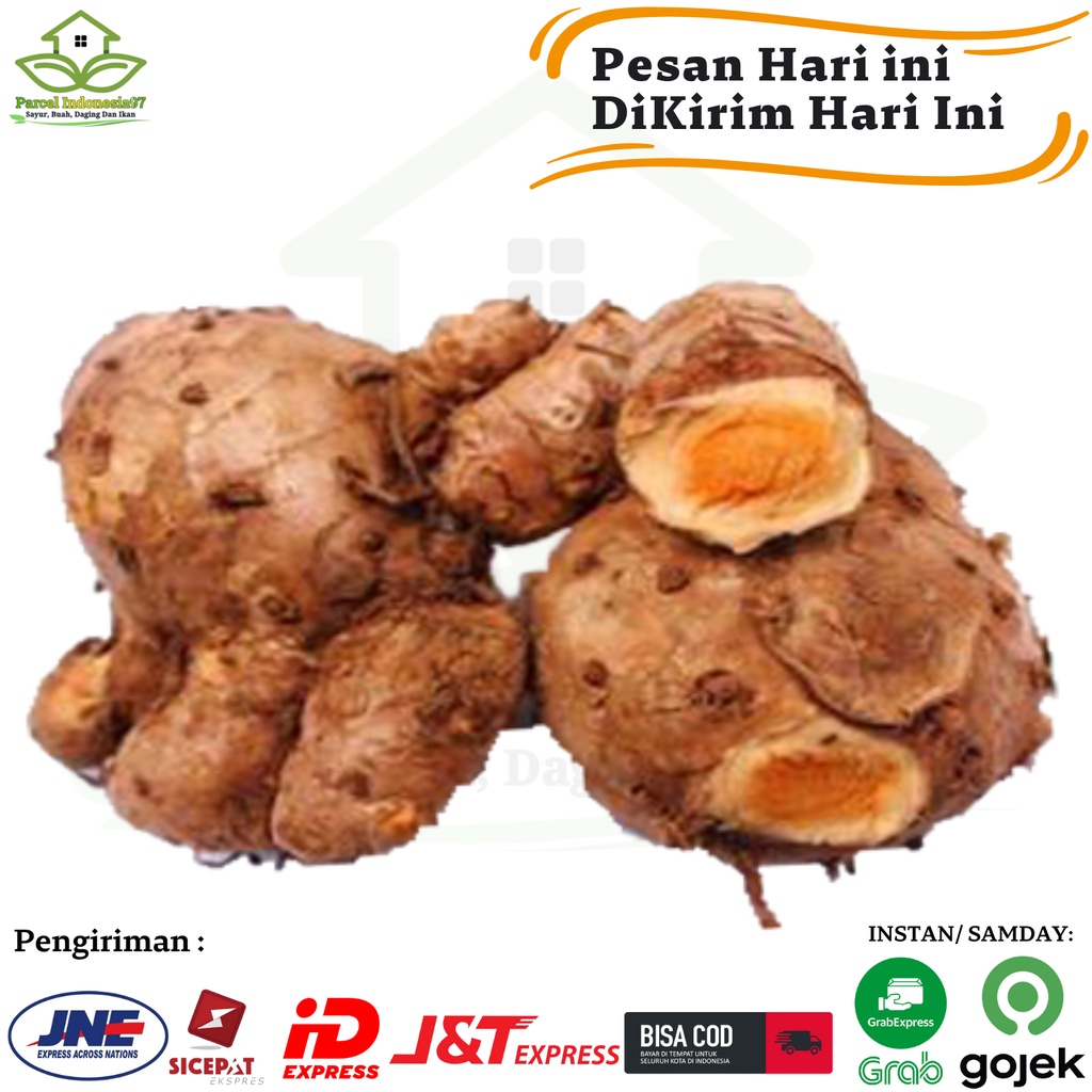 

Temulawak Segar 500/Temu Lawak Fresh Organik 500 parcel indonesia