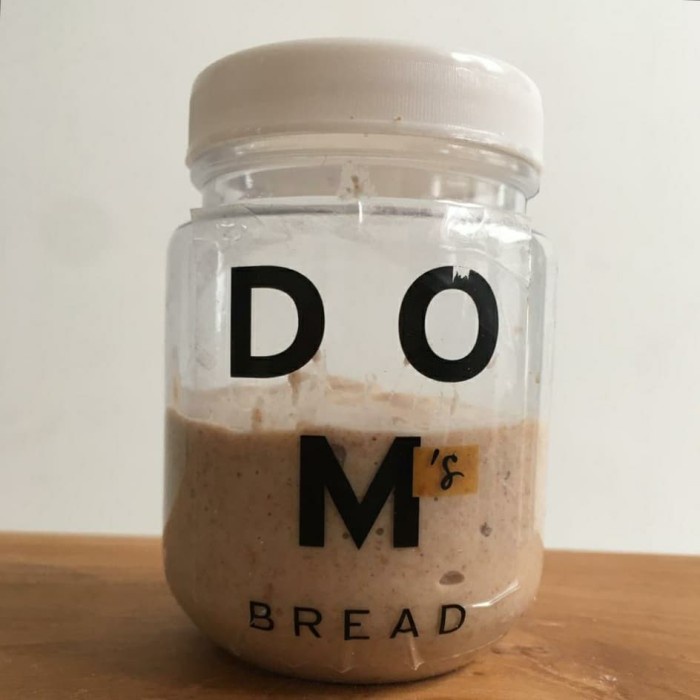 

Ragg (Instant Only) Active 100% Wholewheat Sourdough Starter