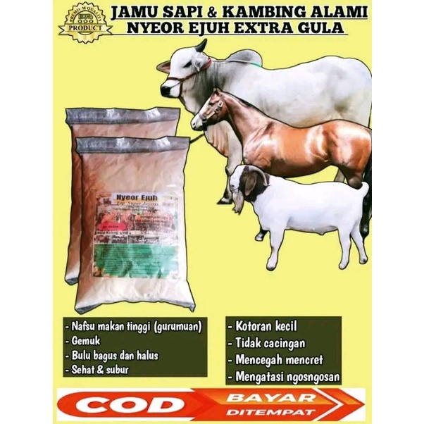 

JAMU SAPI DAN KAMBING NYEOR EJUH PENAMBAH NAFSU MAKAN